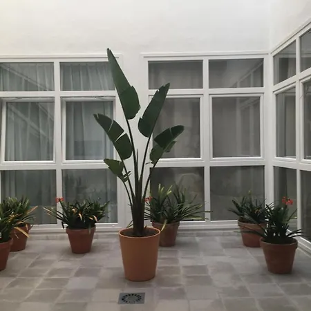 Loft Xerez Centro חרז